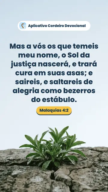 Imagem do versículo Malaquias 4:2: Mas a vós os que temeis meu nome, o Sol da justiça nascerá, e trará cura em suas asas; e saireis, e saltareis de alegria como bezerros do estábulo.