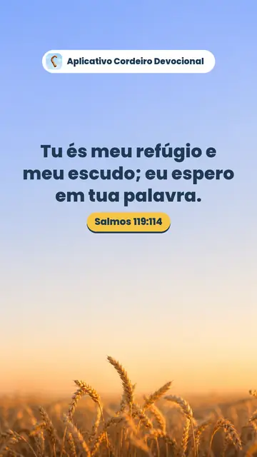 Imagem do versículo Salmos 119:114: Tu és meu refúgio e meu escudo; eu espero em tua palavra.