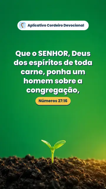 Imagem do versículo Números 27:16: Que o SENHOR, Deus dos espíritos de toda carne, ponha um homem sobre a congregação,