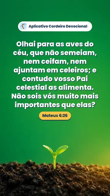 Imagem do versículo Mateus 6:26: Olhai para as aves do céu, que não semeiam, nem ceifam, nem ajuntam em celeiros; e contudo vosso Pai celestial as alimenta. Não sois vós muito mais importantes que elas?