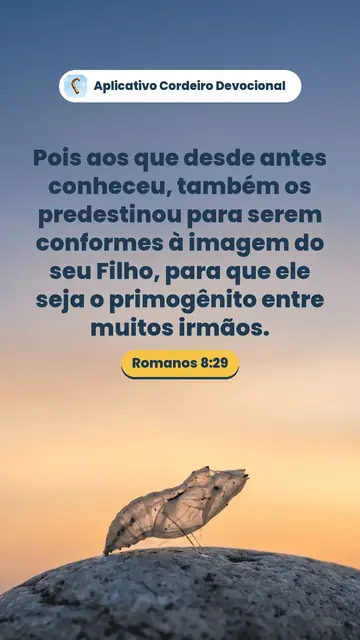 Imagem do versículo Romanos 8:29: Pois aos que desde antes conheceu, também os predestinou para serem conformes à imagem do seu Filho, para que ele seja o primogênito entre muitos irmãos.